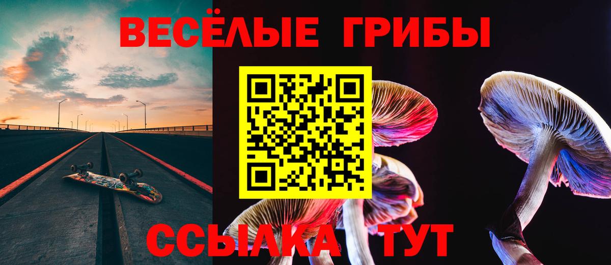 Псилоцибиновые грибы мицелий  Вход с VPN  Галлюциногенные грибы мицелий  Новый Уренгой 