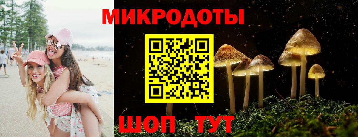 Псилоцибиновые грибы Psilocybine cubensis Новый Уренгой
